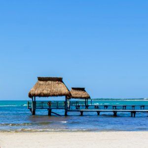 Meet your Posher, KG